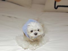 -成都太古里总府王府井亚朵X酒店
