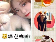 -猫色咖啡·猫咖