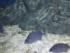 -临沂极地海洋王国
