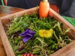 -烛影拾光观景餐厅·创意菜·摄影·小提琴(大唐不夜城店)