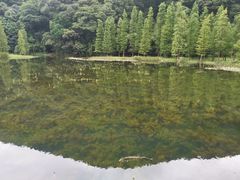 -广州市石门国家森林公园