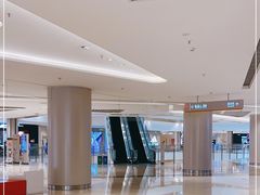 -代数学家algebraist(苏州中心店)
