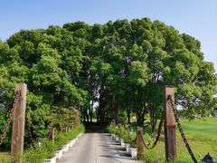 -银涛高尔夫练习场(徐泾店)