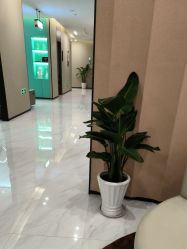 -木兰清颜医疗美容