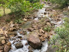 -广州白江湖森林公园