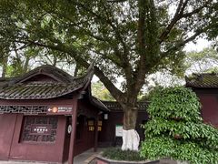 -桂湖森林公园
