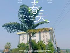 -西双版纳傣族园