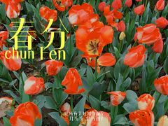 -静安雕塑公园