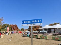 -五角枫生态旅游景区