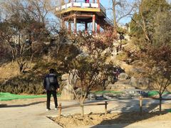 -莲花池公园