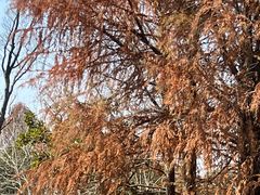 -上海怡沁园度假酒店