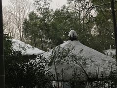 -天目湖御水温泉·度假酒店