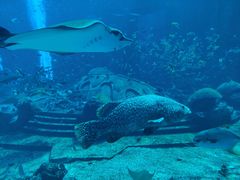 -十六蒲(桂林路店)