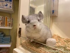 -龙猫仔乐园(惠福东路店)