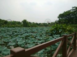 云湖游乐场外环境-云湖游乐园