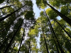 -山王坪喀斯特国家生态公园