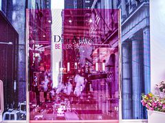 -Dior迪奥(上海世茂广场店)