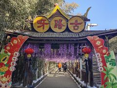-呀路古热带植物园