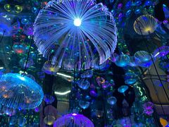 -天津梵高星空艺术馆(天河城旗舰店)