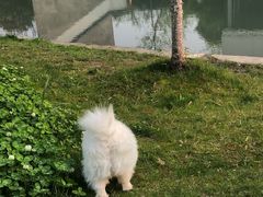 -湘湖金融镇