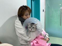 -北京观赏动物医院·24小时大型综合·猫专科·异宠专科