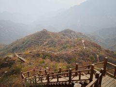 -大岭沟猕猴桃谷风景区