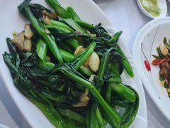 生炒菜心-油甘埔永新酒楼