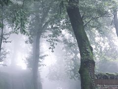 -莫干山风景区