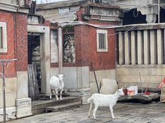 -蔡氏古民居建筑群