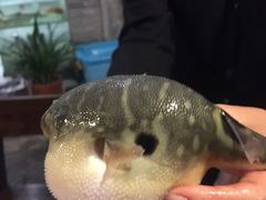 -观桥阁(锦溪店)