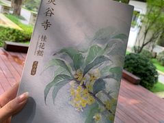 -灵谷景区