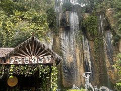 -西双版纳原始森林公园