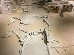 -洛阳周王城天子驾六博物馆