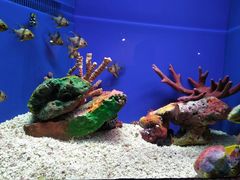-上海海洋水族馆-停车场