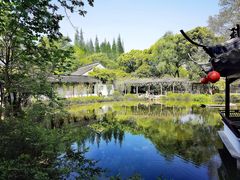 -上海醉白池公园
