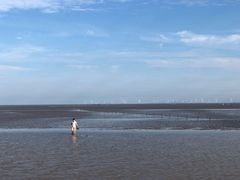 -南汇嘴观海公园