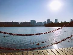 -天鹅湖体育公园
