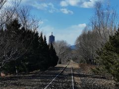 -永定河休闲森林公园