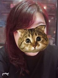 -艾米莉 烫染沙龙