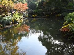 -杭州植物园