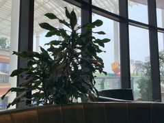 -L'Arome芳芳法国餐厅(仙林金鹰店)