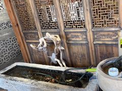 -钟吾小馆·地道徐州菜(锦创书城店)