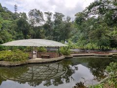 -世间香境·七溪地