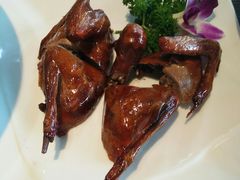 金牌红烧乳鸽-大鸽饭(马王堆店)