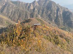 -大岭沟猕猴桃谷风景区