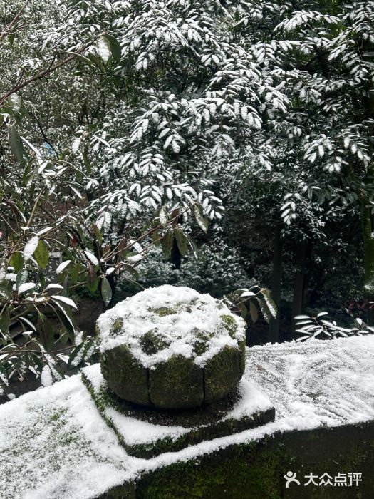 缙云山景区图片