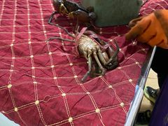 -凤凰路何眼镜香辣蟹(花果园店)