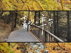 -苏木山森林公园