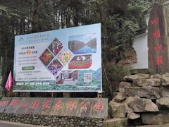 -四明山国家森林公园