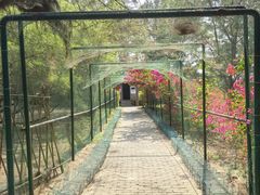 -北海金海湾红树林生态旅游区